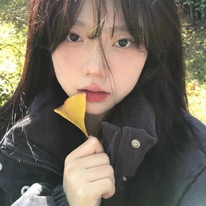 风夏
