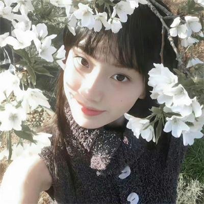 舞极限